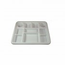 Disposable 10 compartments Party Tray Indian Langar Thali Plates - 100 Pack