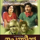Chemmeen Malayalam DVD With English Subtitles - Malayalam Satyan Superhit Film
