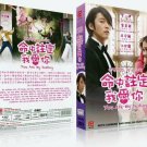 You Are My Destiny Korean Drama TV Series DVD with English Subtitles (K-Drama)