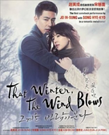 THAT WINTER,THE WIND BLOWS Korean Drama TV Series DVD English Subs (K-Drama)