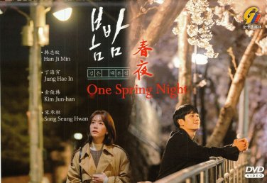 One Spring Night Korean TV Series Drama DVD (K Drama) with English Subtitles