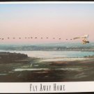 FLY AWAY HOME       LOBBY CARD   11X14