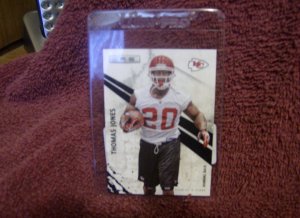 Thomas Jones Panini