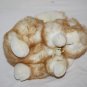 Commonwealth Toys Easter Bunny Rabbit 10" Beige Plush Long Ears Bow Stuffed 1992