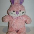 Publix Easter Bunny Rabbit 16" Pink Purple Plush Soft Stuffed Gingham Bow 2018 Publix Easter Bunny Rabbit 16" Pink Purple Plush Soft Stuffed Gingham Bow 2018