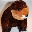 Aurora River Beaver Brown Plush Silky 10" Stuffed Animal Soft Toy Wild Critter