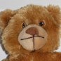 Soft Tan Beige Teddy Bear 11" Plush Nose Stuffed Animal Toy Doll Sewn Eyes Lovey