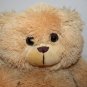 The Bear Factory Beige Tan Teddy Bear 10" Plush Soft Toy Zip Back Stuffed Animal