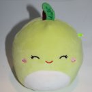Squishmallows ASHLEY Green Apple 5" Closed Eyes Fruit Plush Soft Toy Stuffed Squishmallows ASHLEY Green Apple 5" Closed Eyes Fruit Plush Soft Toy Stuffed