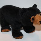 K & M Baby Black Bear Cub Brown Eyes Feet Plush Mini 6" Soft Toy Stuffed Animal K & M Baby Black Bear Cub Brown Eyes Feet Plush Mini 6" Soft Toy Stuffed Animal