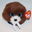 Ty Puffies Beanie Balls Plush Hank Walrus 3 inch MWMT New Glitter Eyes Soft Toy Ty Puffies Beanie Balls Plush Hank Walrus 3 inch MWMT New Glitter Eyes Soft Toy