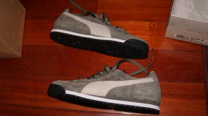 Puma Roma