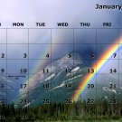 12 Month Calendar w/Comb Binding