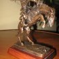 The BRONCHO BUSTER