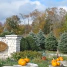2 nights at the Cherry Hill Lodge and Golf resort