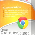 zebNet Chrome Backup 2012