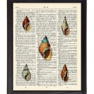 Tiny Sea Shells Printed On 1900's Dictionary Page 8x10