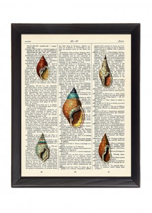 Tiny Sea Shells Printed On 1900's Dictionary Page 8x10