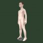Age 8 Boy with sculpture Head