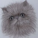 ORIGINAL ART PERSIAN CAT KITTY CAT ARTWORK KIMBEARLYS