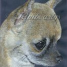 CHIHUAHUA DOG ART ARTIST SIGNED 8 X 10 PRINT KIMBEARLYS