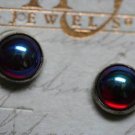 HY STERLING SILVER EUROPEAN GLASS EARRINGS