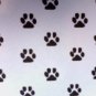 paw print pic