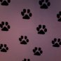 paw print pic