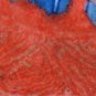 QING DYNASTY Under-glazed RED WITH BLUE & WHITE BOWL #P2563