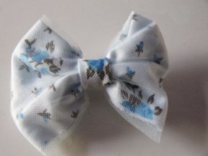 Blue Fancy