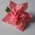 Pretty and Pink