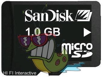 Sandisk - microSD (TransFlash) 1 GB