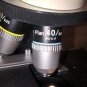 Nikon Labophot Binocular Microscope 4 Objectives+2 CFW10x & AFX-II Camera