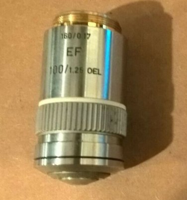 Leitz Wetzlar EF 100/1.25 OEL 160/0.17 objective Lens Laborlux 519804 Microscope