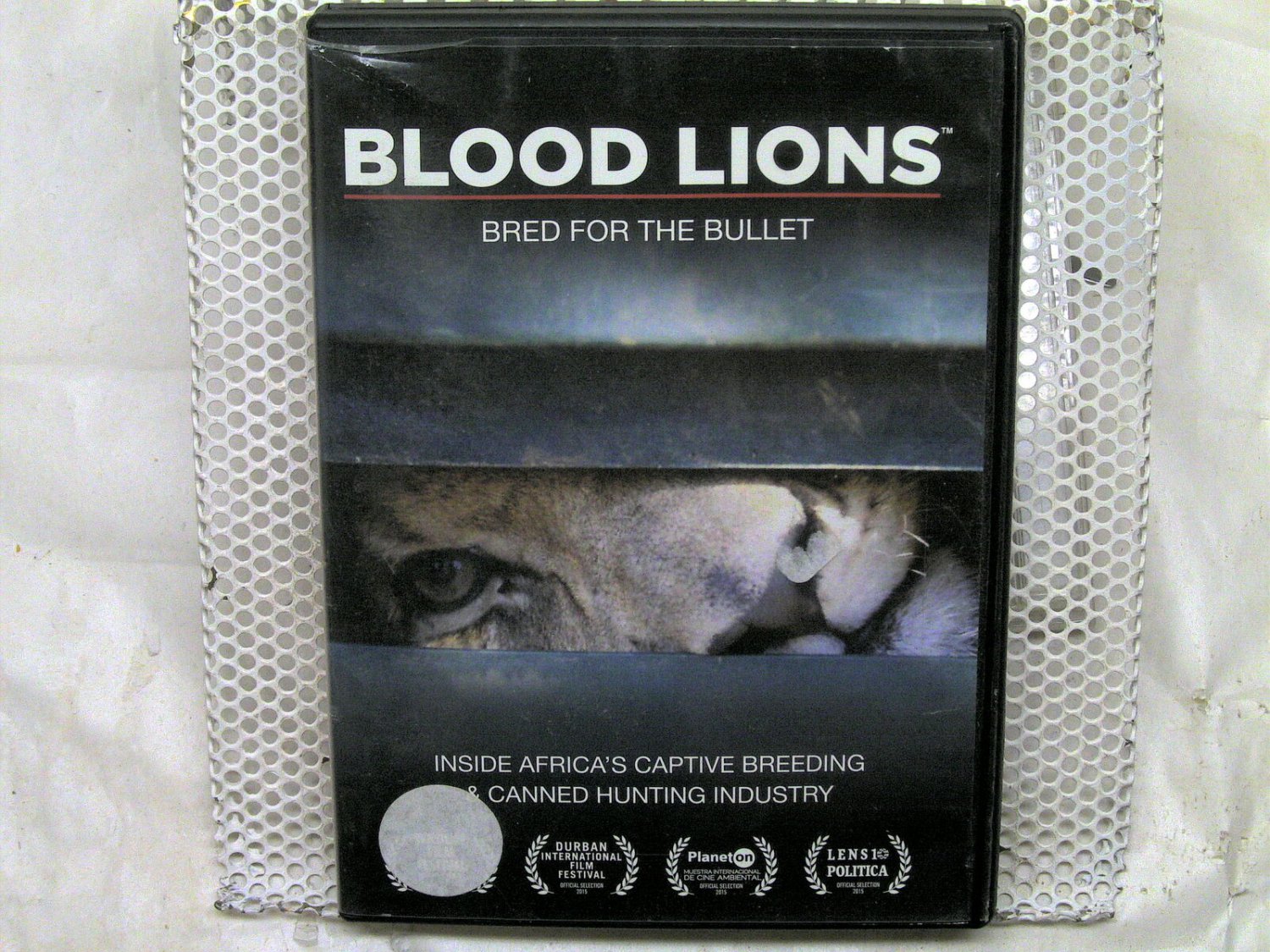 Blood Lions (DVD)