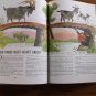 The Lost Kitten Puppy Dog Tails Children's Storybook First Issues Vintage 1960's