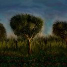 Trees and Landscape