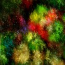 Garden Blossom