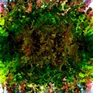 Modern composition 17