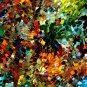 Modern composition 27