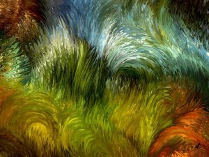 Scrub vegetation