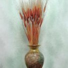 ‏‏Red wheat by rafi talby