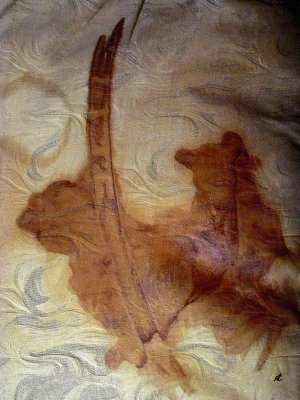 Art by nature