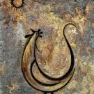 Rooster by rafi talby