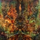 The Missing Link by rafi talby
