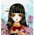 8x10 Sakura Print