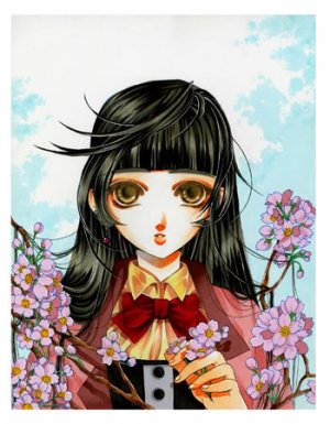 8x10 Sakura Print