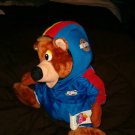 COLLECTIBLE NASCAR TEDDY BEAR WEARING NASCAR RACE GEAR