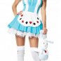 Alice in Wonderland Costume