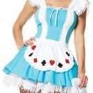Alice in Wonderland Costume